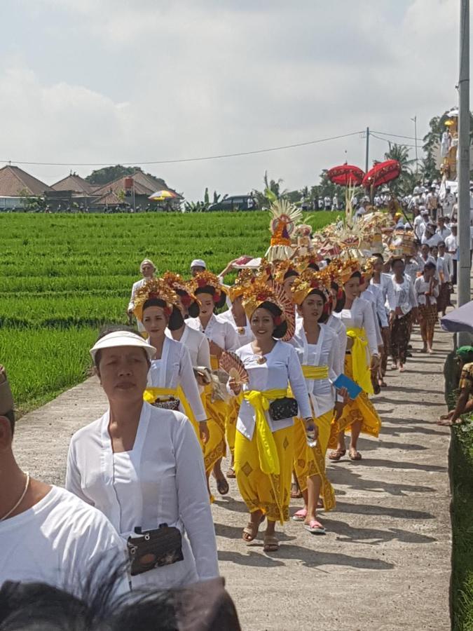 Yogi Homestay Canggu Εξωτερικό φωτογραφία