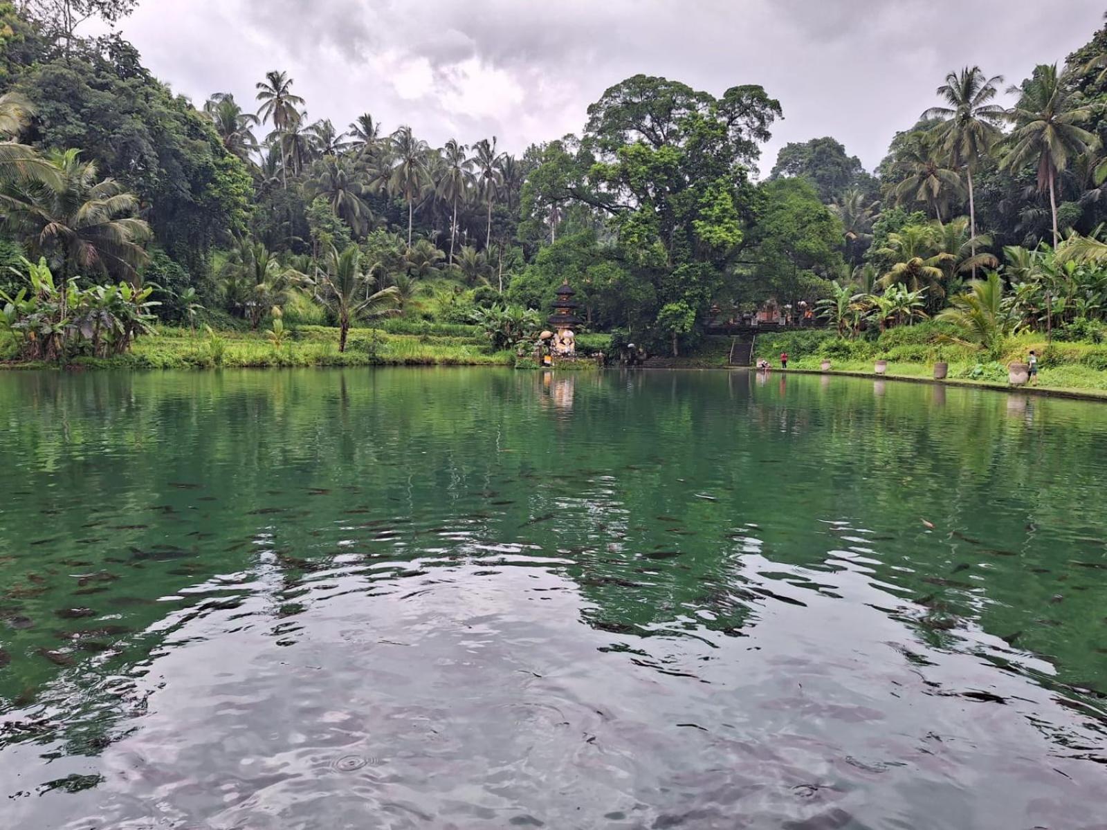 Yogi Homestay Canggu Εξωτερικό φωτογραφία