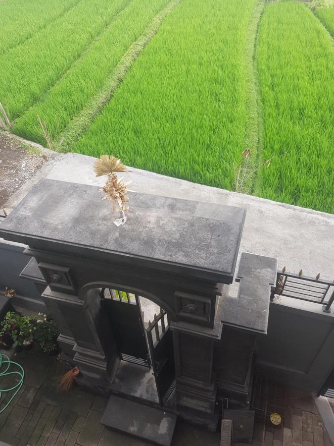 Yogi Homestay Canggu Εξωτερικό φωτογραφία